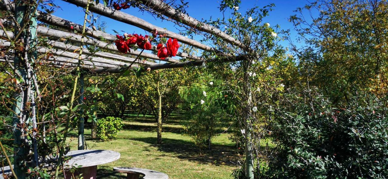 La Casa De Los Limoneros Колония-дель-Сакраменто Экстерьер фото